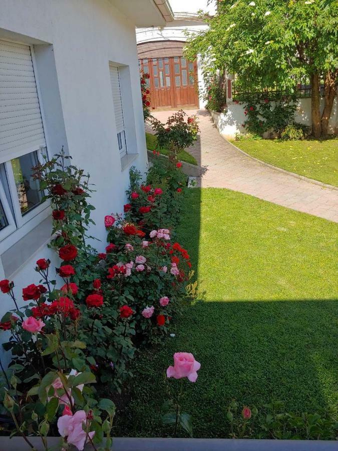 Apartments Tulipan - With Free Private Parking Garage Mostar Dış mekan fotoğraf